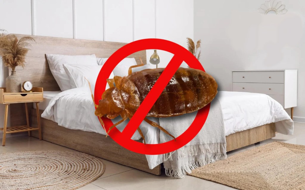 Essential Tips for Bed Bug&nbsp;Prevention