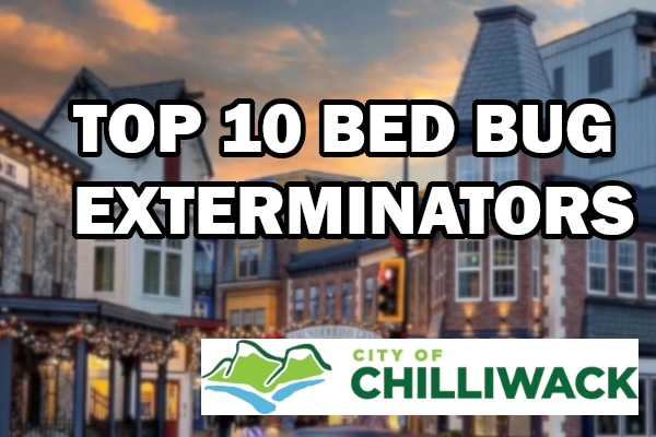 Top 10 Bed Bug Extermination Companies in&nbsp;Chilliwack